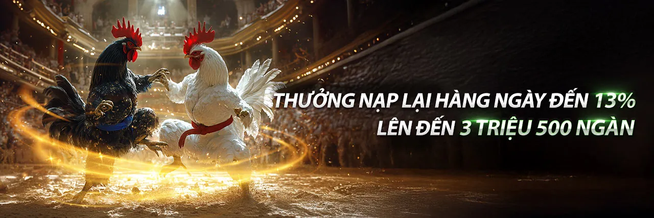 Đá gà trực tuyến gk88vip - Trải nghiệm cá cược đỉnh cao